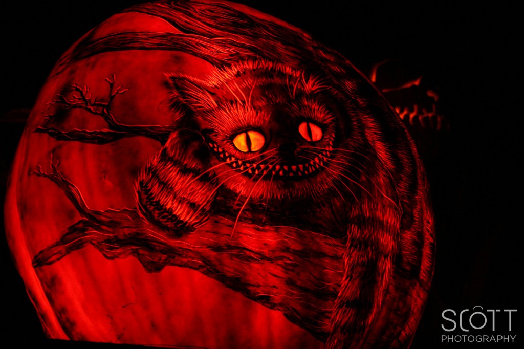 Cheshire Cat Pumpkin Carving - Jack-O-Lantern Spectacular - Roger Williams Park Zoo - 2014