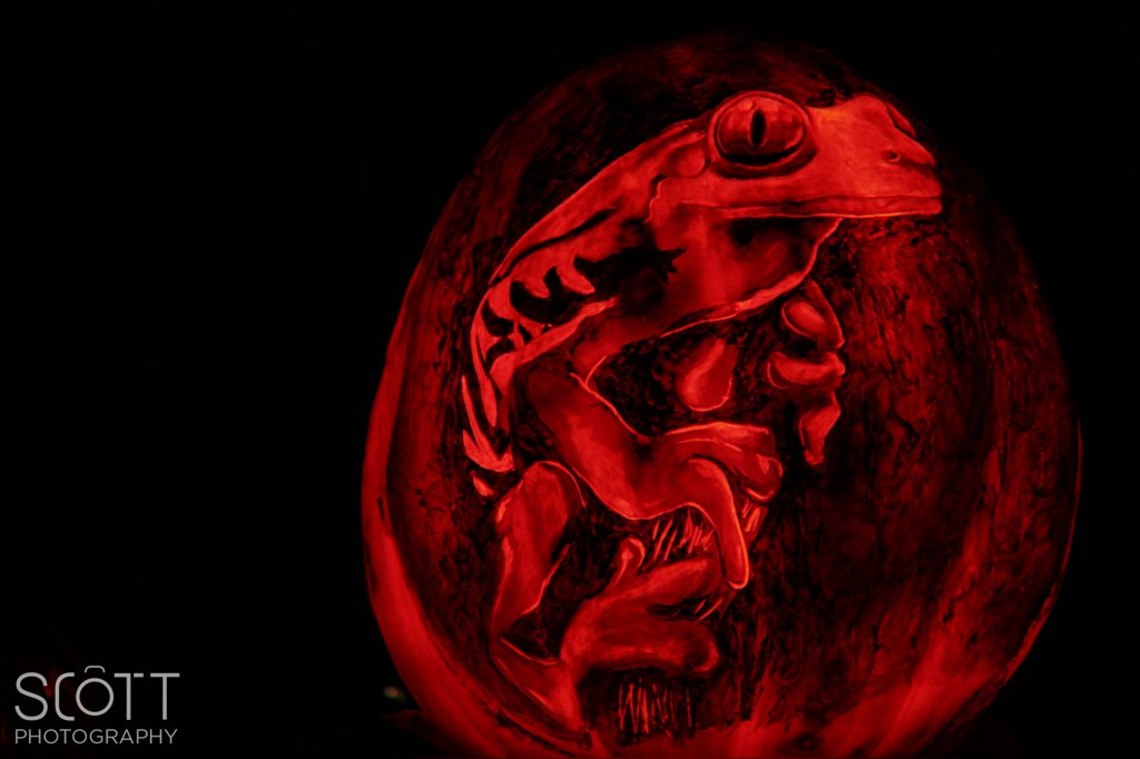 Frog Pumpkin Carving - Jack-O-Lantern Spectacular - Roger Williams Park Zoo - 2014