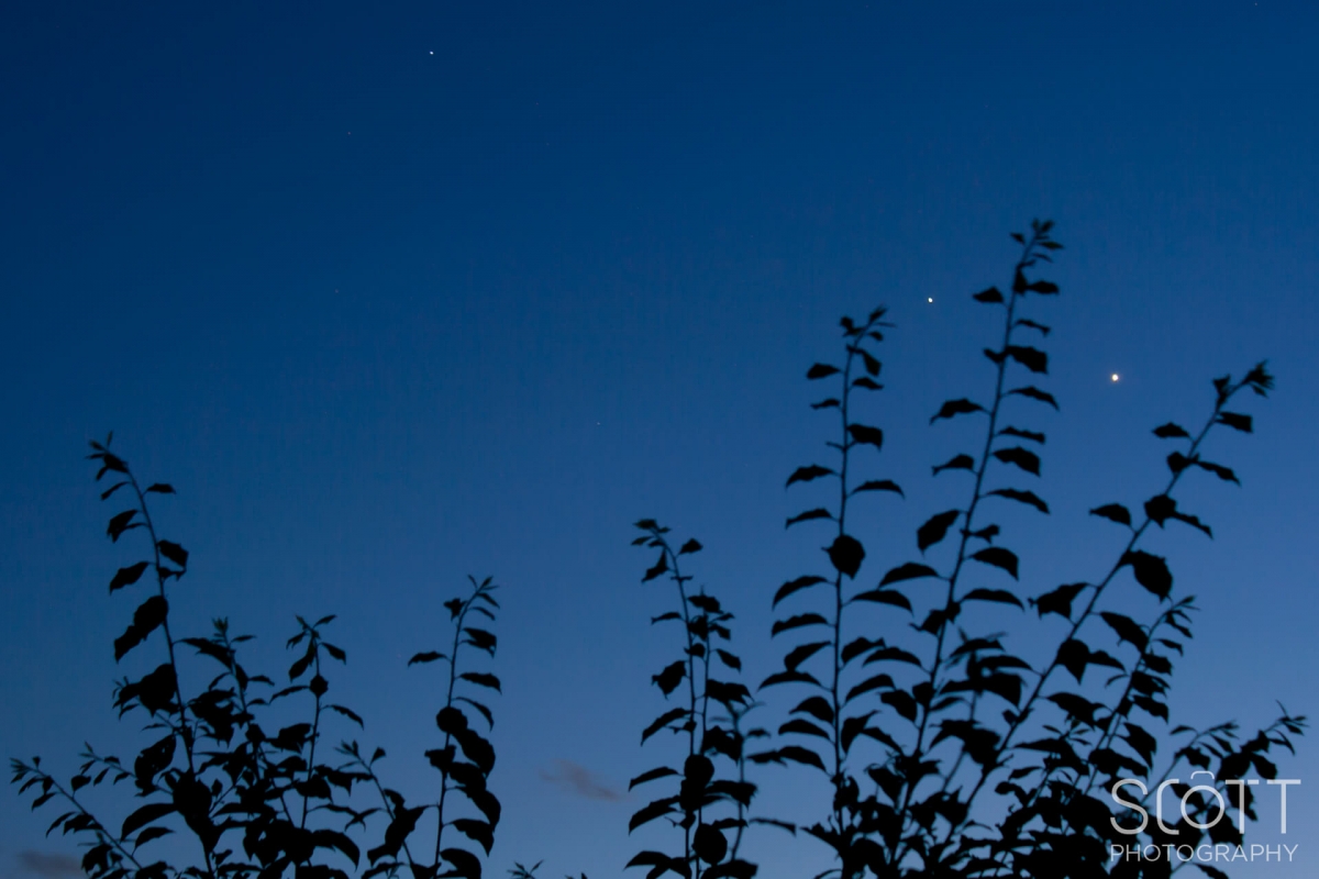 Jupiter & Venus Conjunction - June 24, 2015